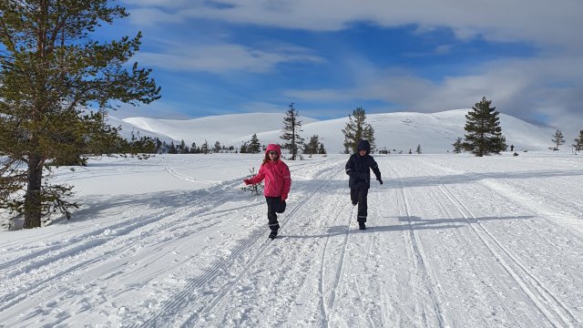 The secret to happy Finnish teens: nature, freedom, hobbies and good parenting